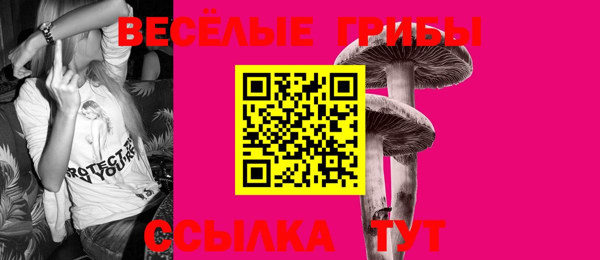 Волгоград  Галлюциногенные грибы Cubensis  Галлюциногенные грибы мицелий  Вход с VPN 