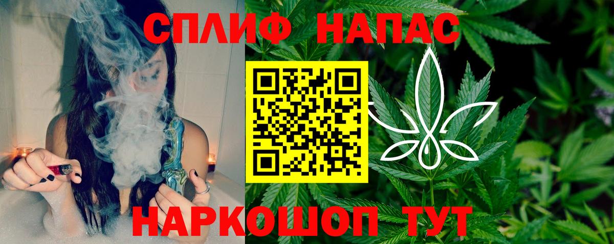 Галлюциногенные грибы Волгоград